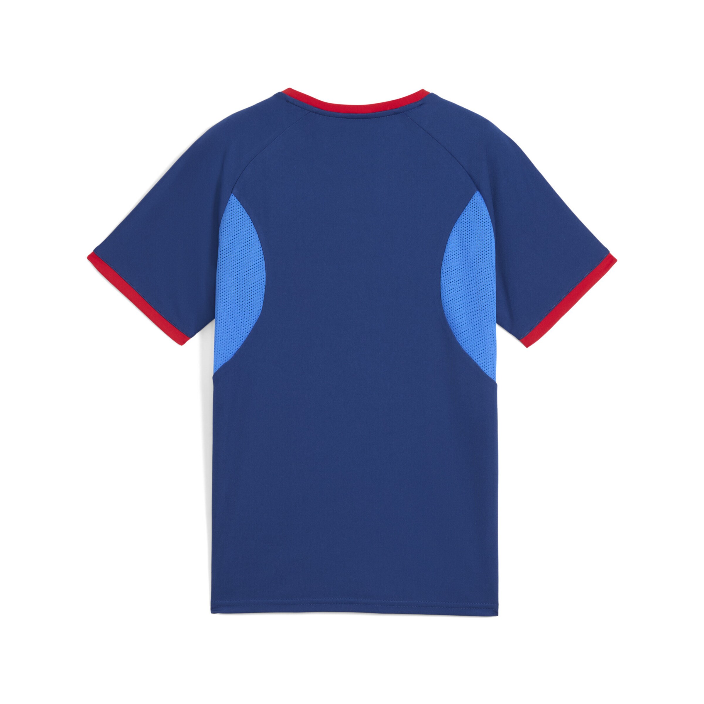 PUMA Performance shirt 'Neymar Jr Playmaker' in Blue
