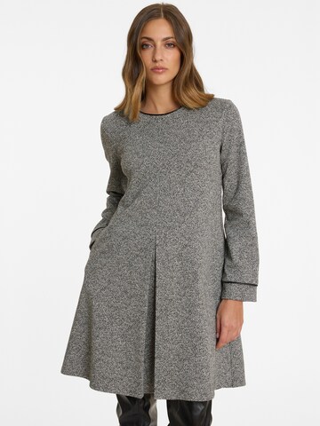 Robe 'Alina' Ana Alcazar en gris : devant