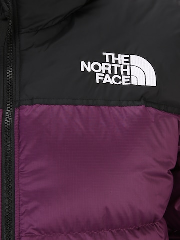 Veste d’hiver '1996 Retro Nuptse' THE NORTH FACE en violet