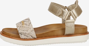 SCAPA Strap Sandals in Gold
