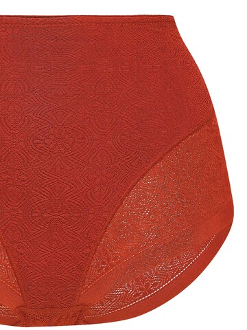 SUSA Slip 'Milano'‌‌‌‌ in Orange