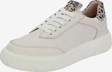 Baskets basses Crickit en beige : devant