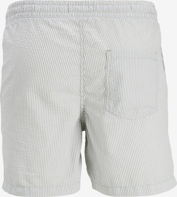 Regular Pantaloni 'Jeff' de la JACK & JONES pe gri