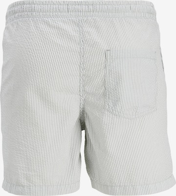 JACK & JONES Regular Broek 'Jeff' in Grijs