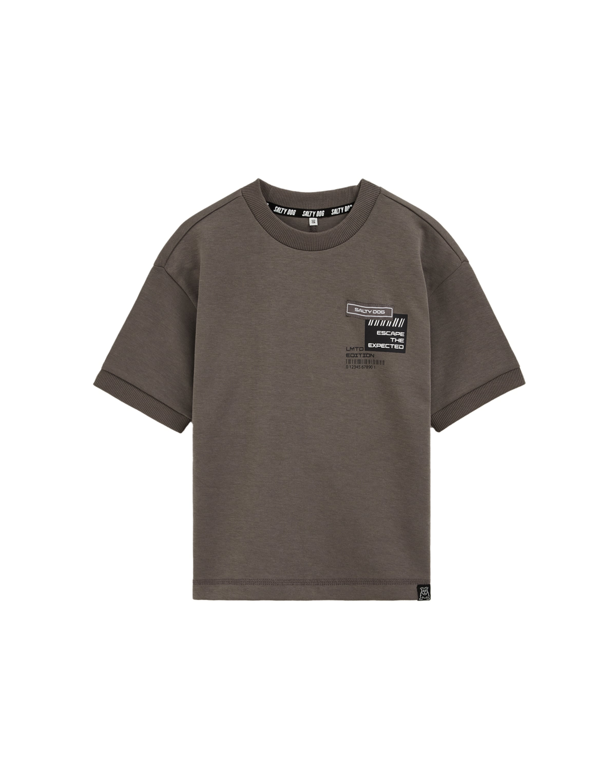 Maglietta 'Salty Dog' di WE Fashion in grigio: frontale