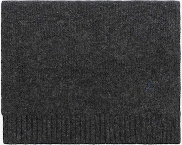 ScalpersŠal - siva boja: prednji dio