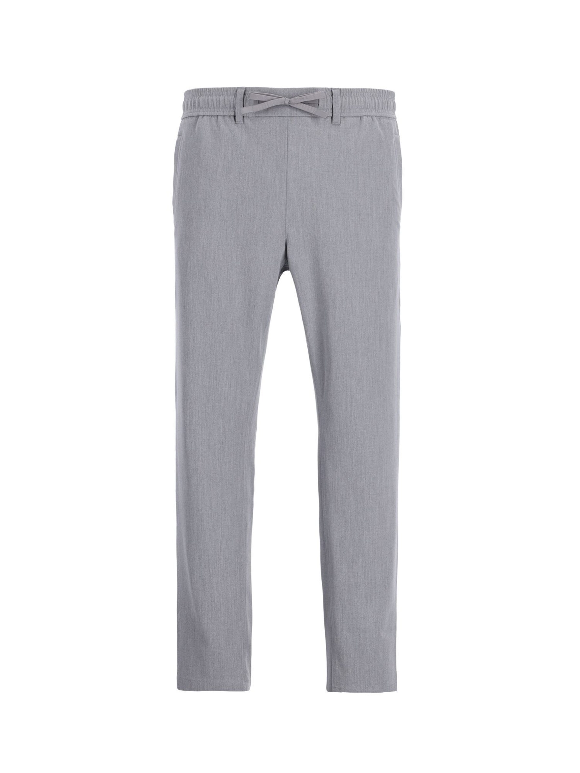 Pantalon chino 'Stone Dual' CHASIN' en gris : devant