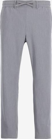 Pantalon chino 'Stone Dual' CHASIN' en gris : devant