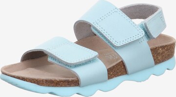 SUPERFIT Sandals & Slippers in Blue: front