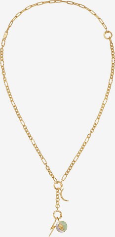 ANIA HAIE Necklace in Gold: front