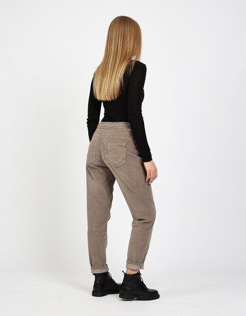 Gang Regular Pants in Brown