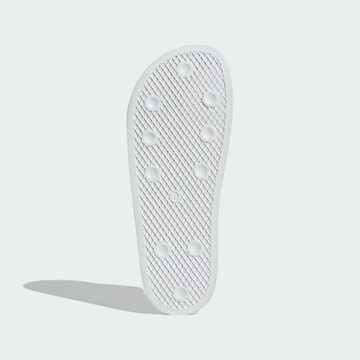ADIDAS ORIGINALS Pantofle 'Adilette' – modrá