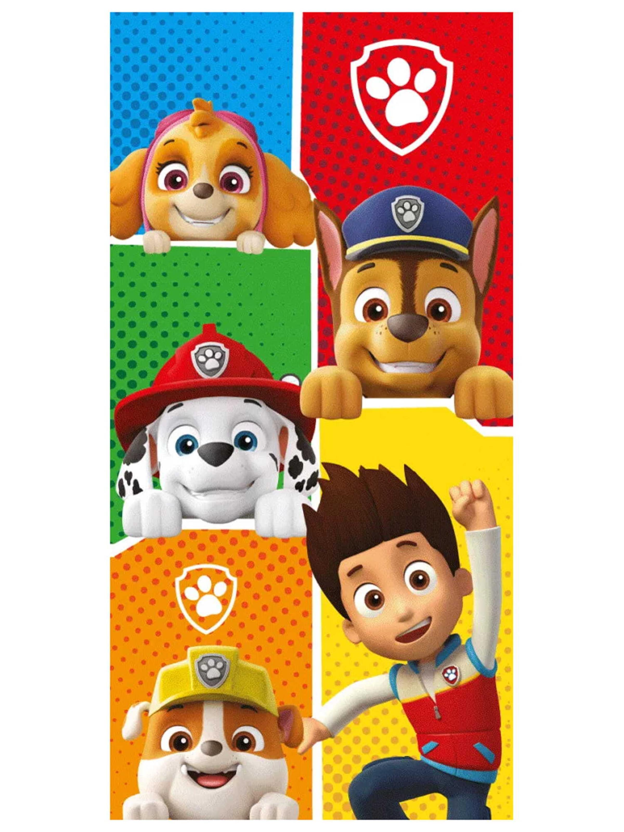 Asciugamano 'Ryder & Friends' di PAW Patrol in colori misti: frontale