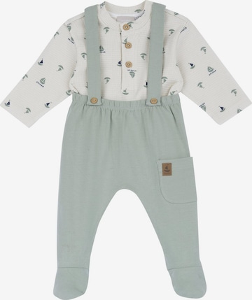 Chicco Setti värissä vihreä: etupuoli