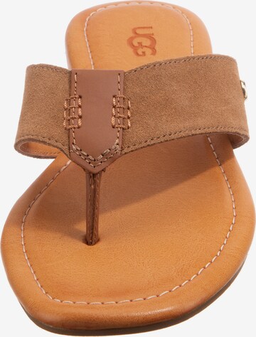 UGG Teenslipper 'Carey' in Bruin