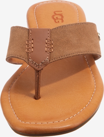 UGG - Chinelos de dedo 'Carey' em castanho