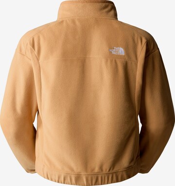 THE NORTH FACE Fleece Jacket 'Homesafe' in Brown