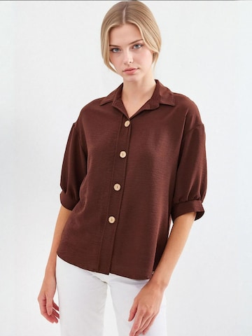 Bigdart Blouse in Brown