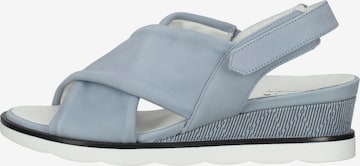 HASSIA Sandals in Blue