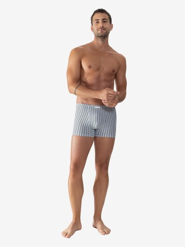 Mey Boxershorts 'Light Stripes' in Blau