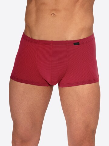 Olaf Benz Boxer shorts ' RED2555 Minipants ' in Red: front