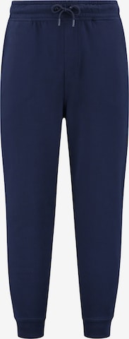 Tapered Pantaloni di Shiwi in blu: frontale