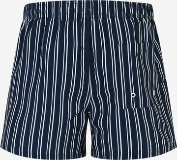 TOM TAILOR Badshorts 'SILVIO' i blå