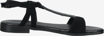 IGI&CO Sandalen met riem in Zwart