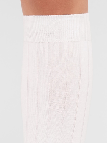 CALZEDONIA Kniestrümpfe in Weiß