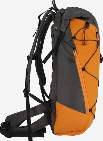 SALEWA Rucksack  'Puez 32 +5 ' in Orange