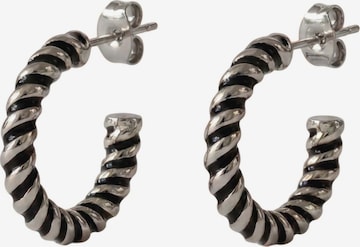 Boucles d'oreilles 'Twirl' PURELEI en argent : devant