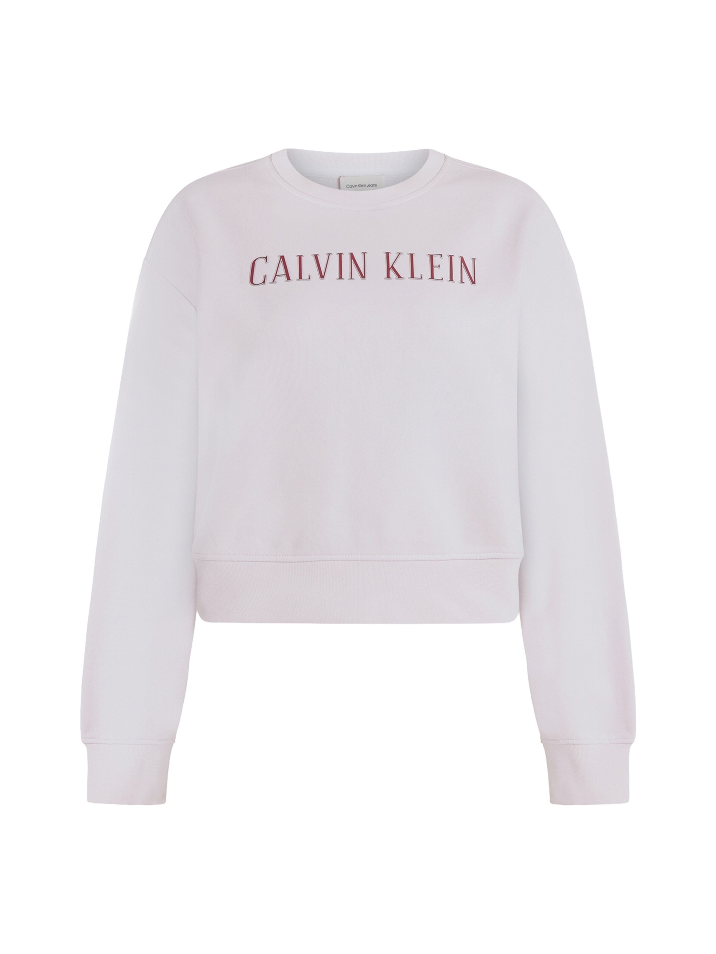 Calvin Klein Jeans Свитшот в Ярко-розовый: спереди