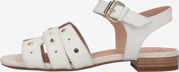 GEOX Sandals in White