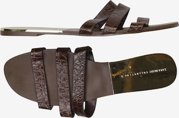 ZARA Sandals & High-Heeled Sandals in 42 in Brown: front