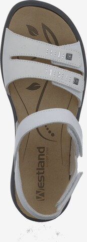 Westland by JOSEF SEIBEL Sandals 'Ibiza 86' in White