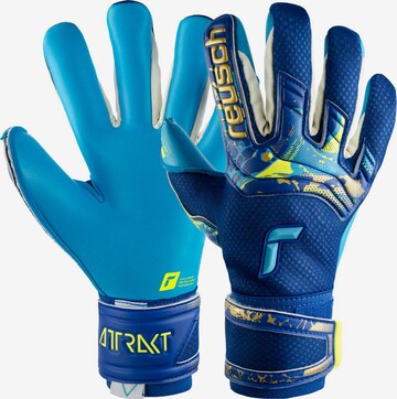 REUSCH Sporthandschoenen 'Attrakt Aqua' in Blauw: voorkant