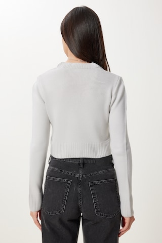 Happiness İstanbul Pullover in Grau