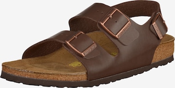 Sandales 'Milano' BIRKENSTOCK en marron : devant