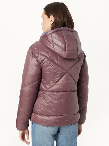 Sublevel Winter Jacket in Brown