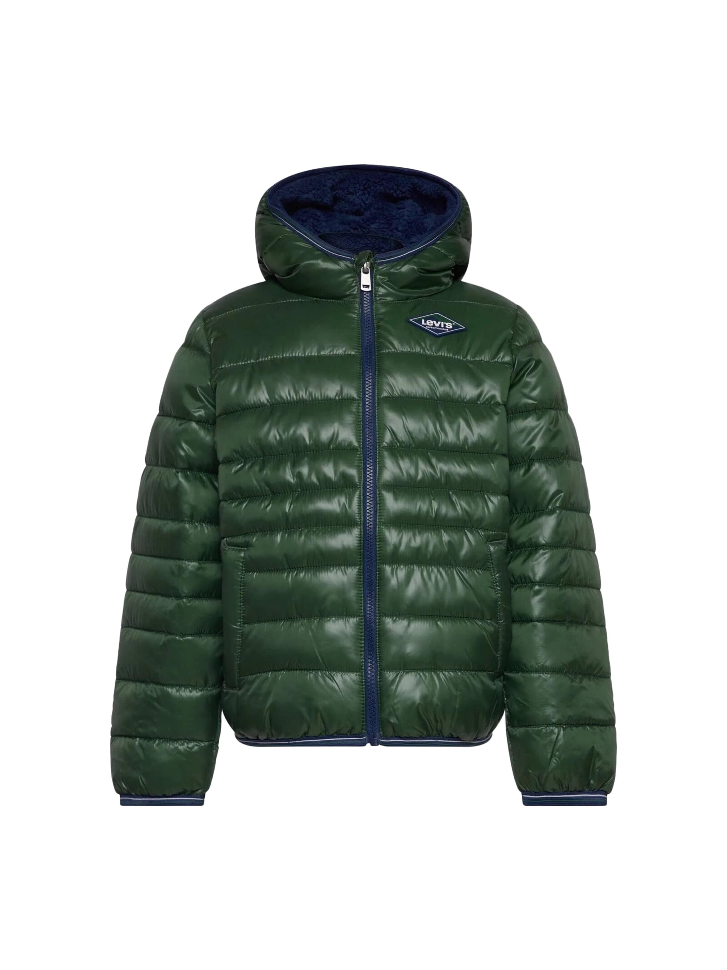 LEVI'S ® Winterjacke‌‌‌‌‌ in Grün: Vorderseite
