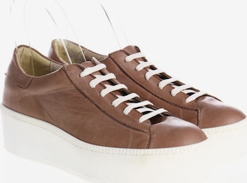 TSD12 Sneakers & Trainers in 38 in Brown: front