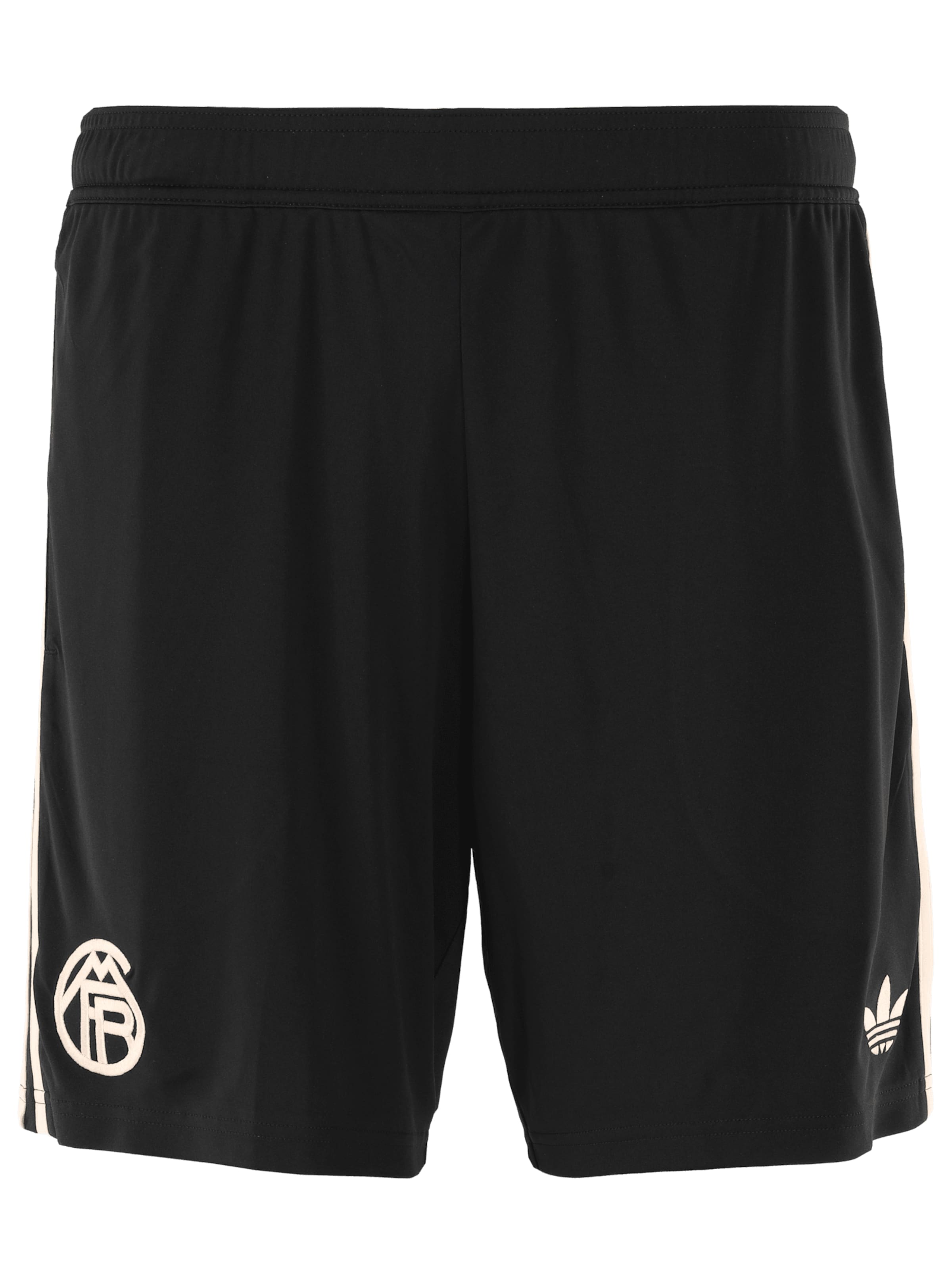 ADIDAS PERFORMANCE Regular Sportshorts 'FC Bayern München 2025/2026' in Schwarz: Vorderseite