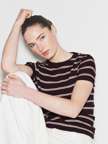 The Set T-Shirt in Beige
