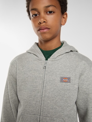 DICKIES Sweatjacka 'Oakport' i grå