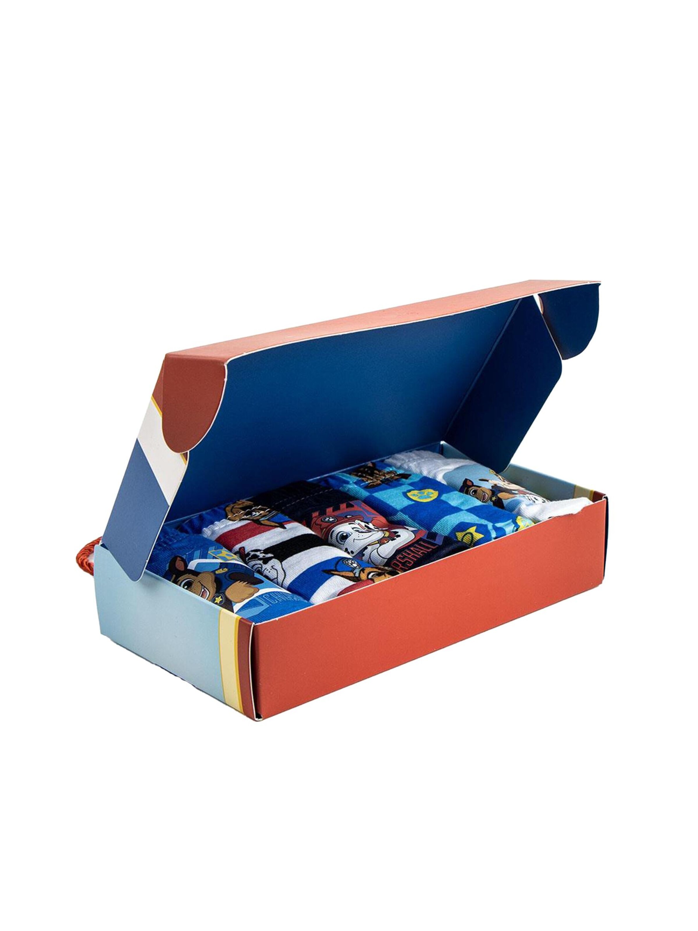 DISNEY Underwear Set 'Unterwäsche-Set für Mädchen, 5 Teile, Paw Patrol' in Mixed colors