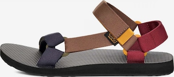 TEVA Sandale 'M Original Universal' in Mischfarben: Vorderseite