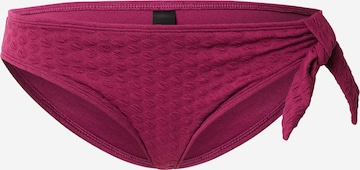 LingaDore Bikini Bottoms in Purple: front