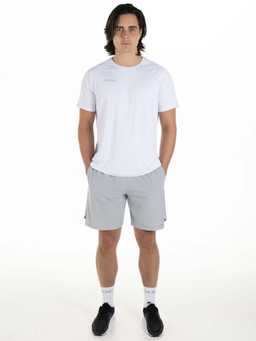 Loosefit Pantaloni 'Miles' di Divina in grigio