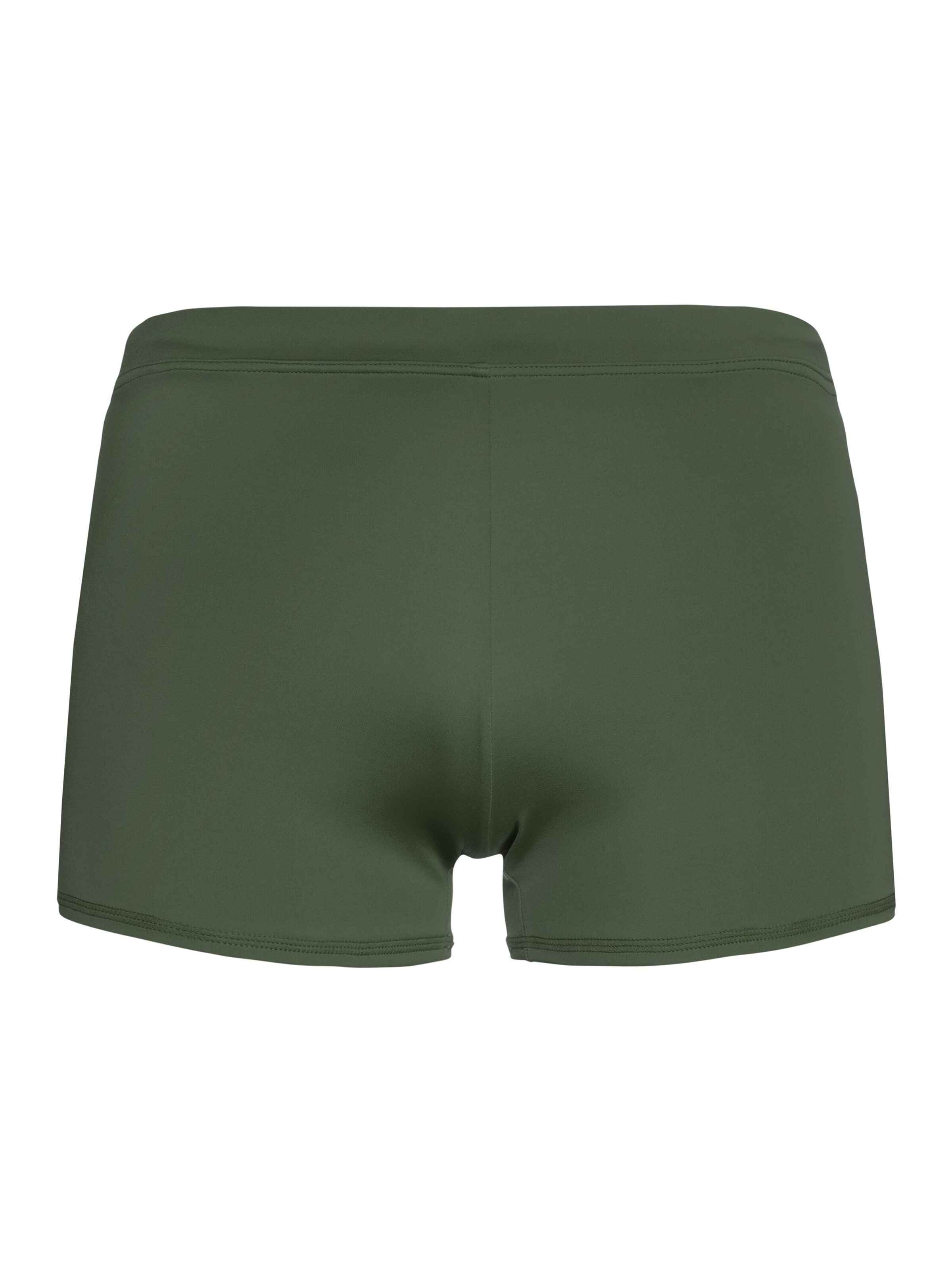 PROTEST Bathing trunks 'CARST' in Green: front