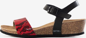 Bayton Sandal 'Wodonga' i röd: framsida